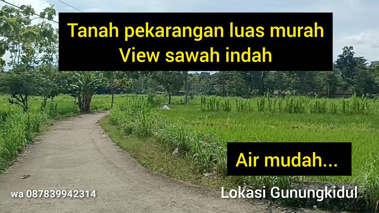 TANAH  PEKARANGAN MURAH LUAS AIR MUDAH VIEW SAWAH