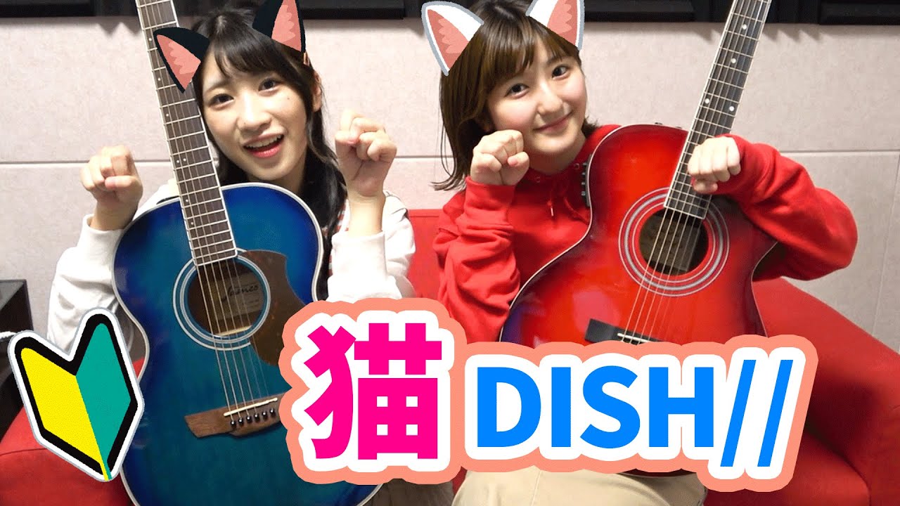 ギター初心者が30分で「猫 」弾いてみた！【なるのギター教室】