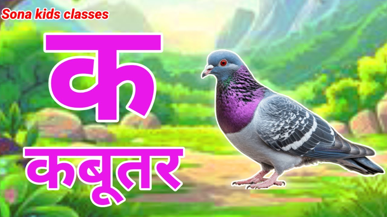 क से कबूतर, अ से अनार,a se anar ,K se kabutar |Hindi varnmala |ABCD क से कबूतर, अ से अनार ,for kids 