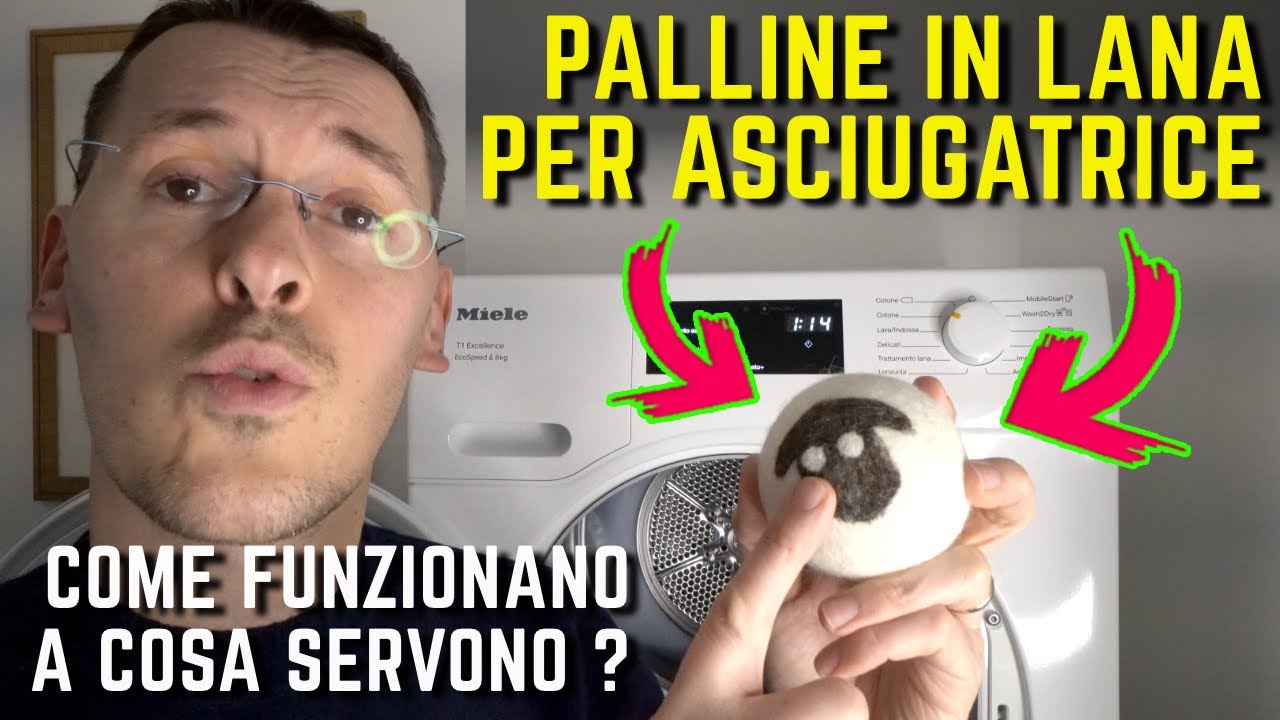 PALLINE LANA ASCIUGATRICE come funzionano e a cosa servono ?