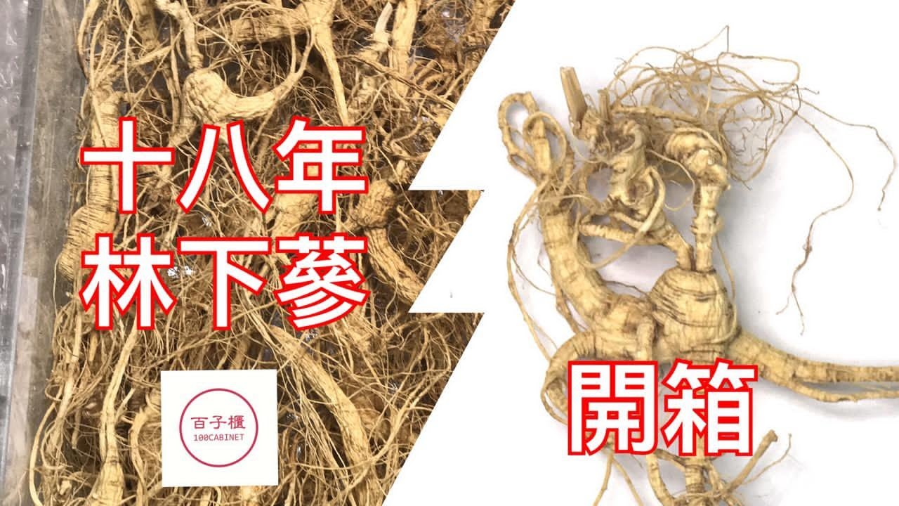 十八年林下參開箱