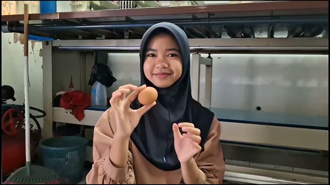 BIOTEKNOLOGI KONVENSIONAL MEMBUAT DONAT | TUGAS IPA KELAS IX E KELOMPOK 6