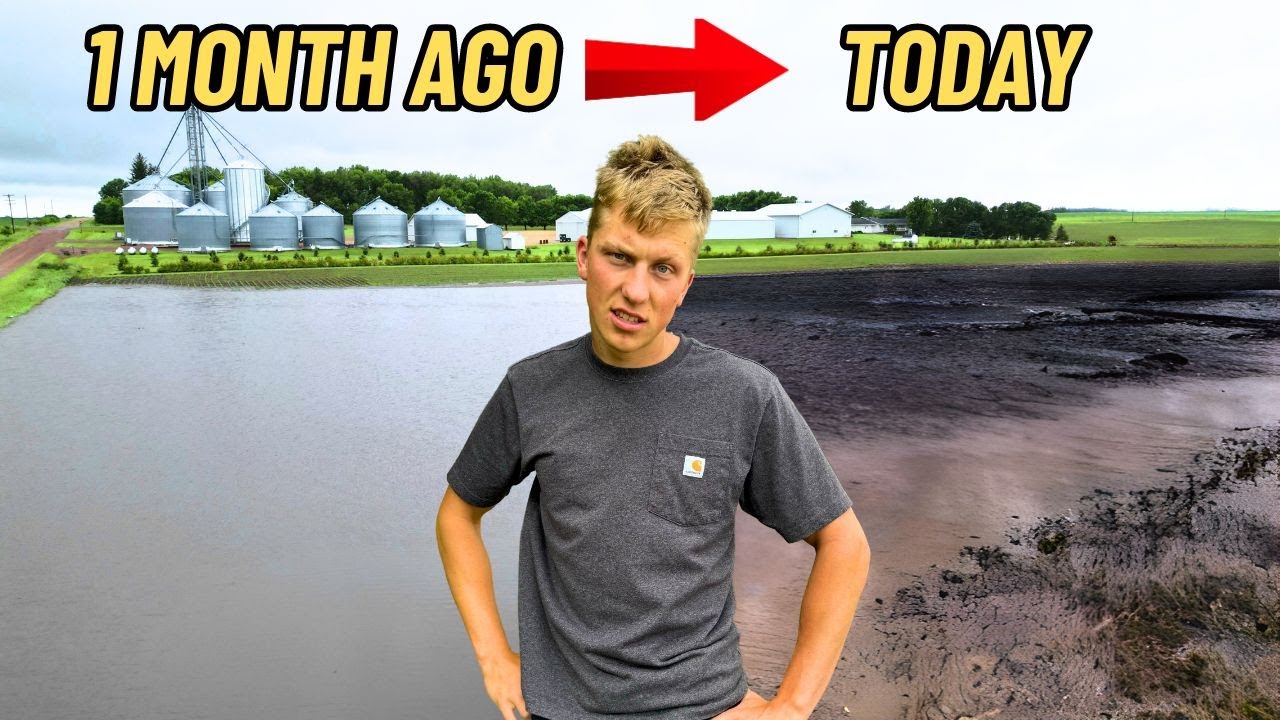 WORST Flood in 130 Years: How Do The Crops Look?