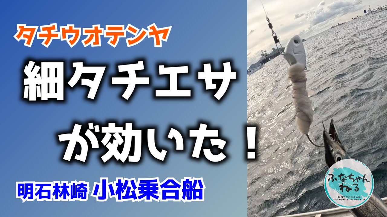 【タチウオテンヤ】洲本沖のタチウオ好調！細タチエサで良型混じり連発！