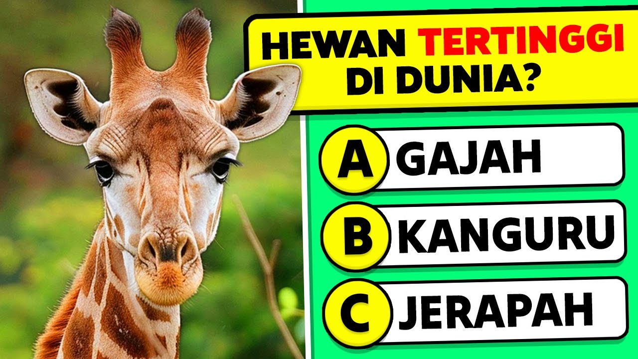 35 Pertanyaan Pengetahuan Umum Tentang Hewan! 🐘🧠🤯 Pertanyaan dan Jawaban Trivia Pengetahuan Hewan