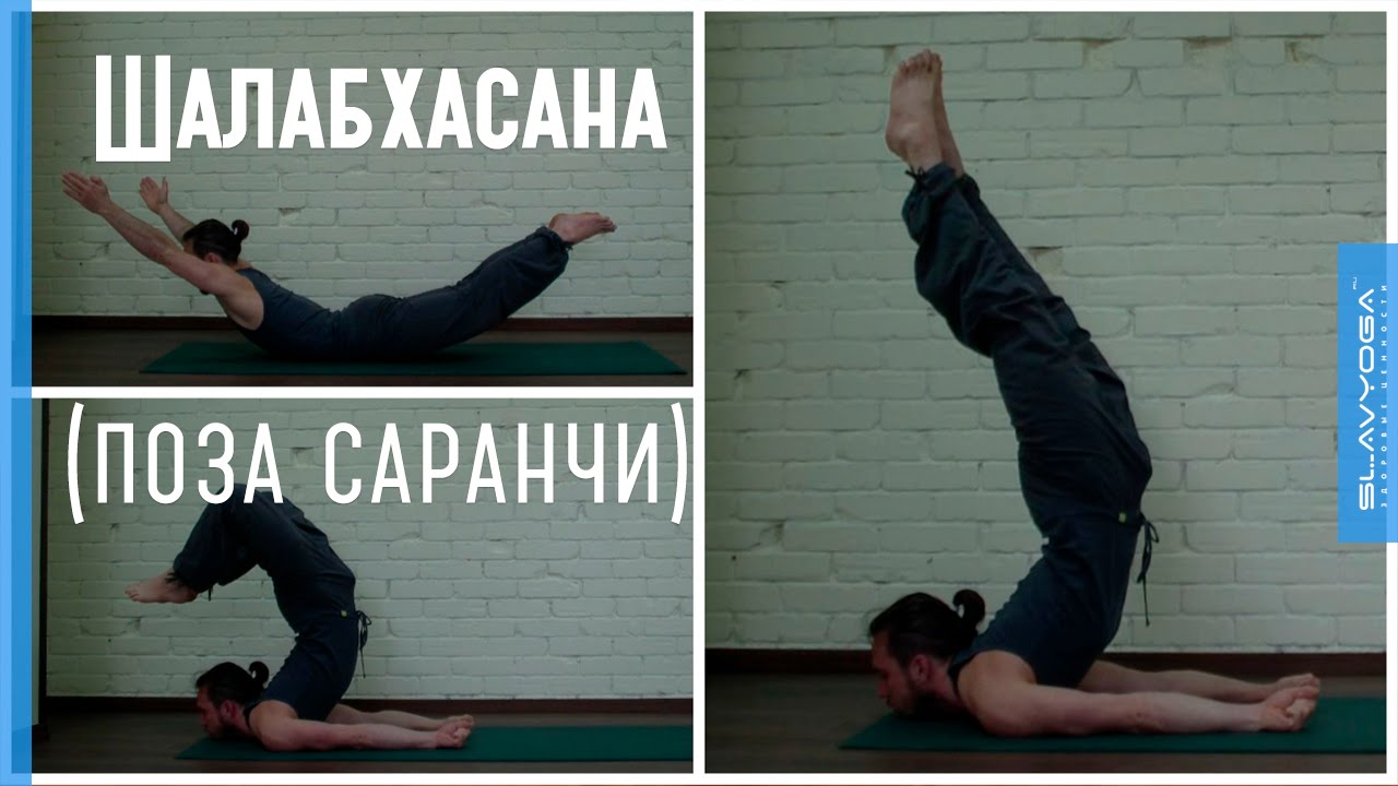 Асана йоги ШАЛАБХАСАНА (поза саранчи): ардха, пурна, урдхва, випарита шалабхасана