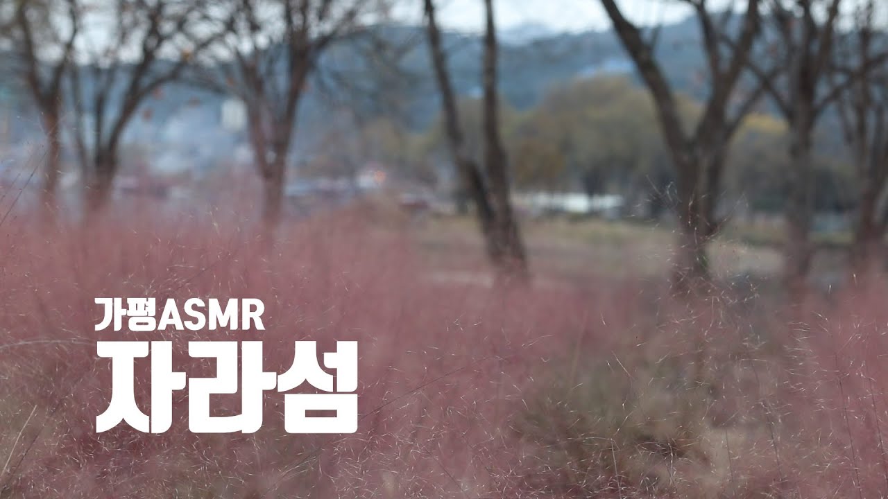 ASMR 가평 자라섬 자연 일상 소리