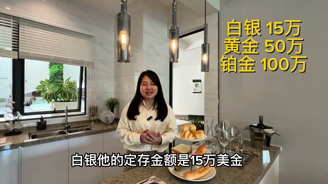 大马退休 | 第二家园计划 | 金融特区 | 最受外国人喜欢房型 | 为什么外国人都选这个房型？|  森林城市 | MM2H的主要差别 | Forest City EP3|