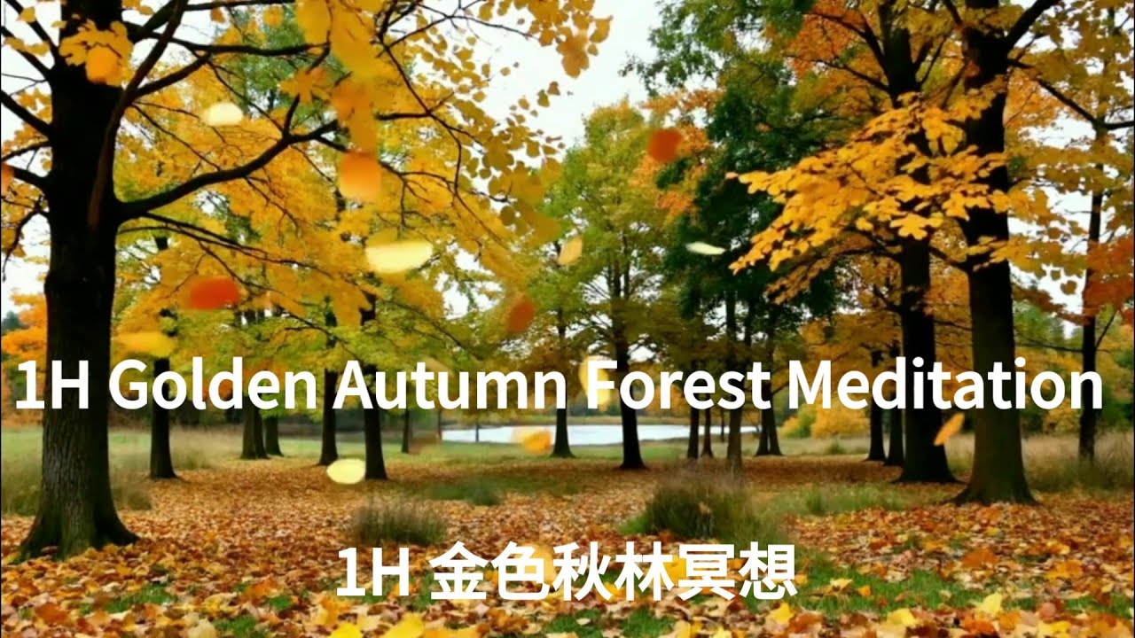 唯美冥想画面 | 梦幻视觉+轻柔背景音乐 | 远离尘嚣 . 缓解工作/学习压力 . 放松心灵 . 轻松入睡 | 无广告No Ads