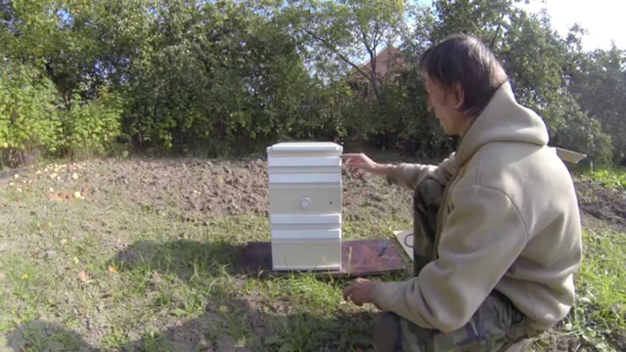 Инфракрасная сушилка Дачник-4 (дегидратор)