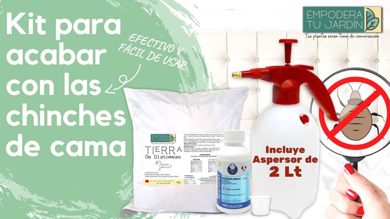 Acaba con las Chinches de Cama combinando tierra de diatomeas e Insecticidas líquidos
