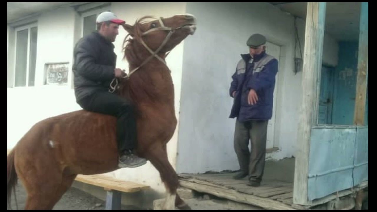 Салам дир Хучада ❤️#хучада #природа
