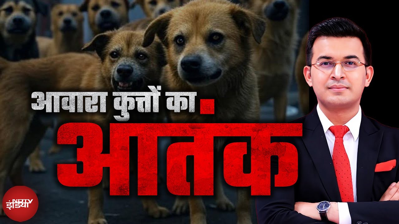 Stray Dog: क्यों भारत के आवारा कुत्ते इतने हिंसक हैं? | Shubhankar Mishra | Dog Attack