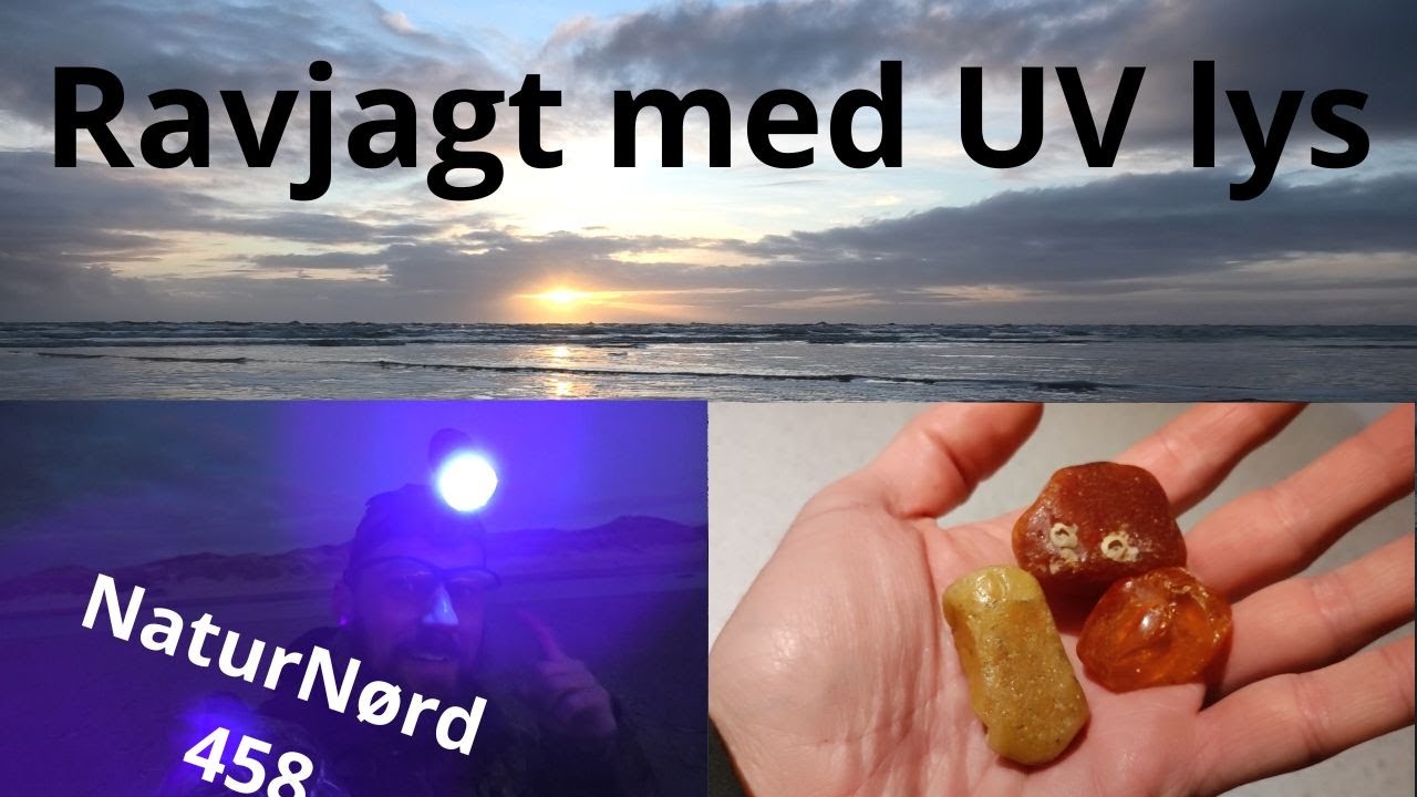 RAV JAGT med UV lys!!! Det er altid super spændene.....