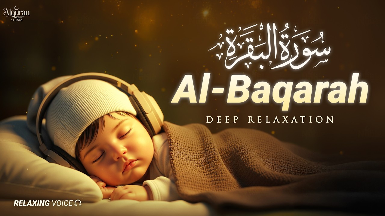 Surah Al-Baqarah سورة البقرة | Soothing Quran Recitation for Peace & Spiritual Calm - By Alaa Yasser
