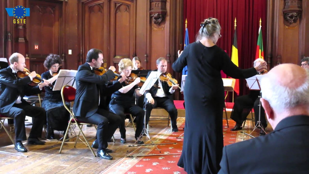 Give a Soul to Europe=GSTE=f&ecirc;te de l'Europe=H&ocirc;tel de Ville BXL=9 V 2014