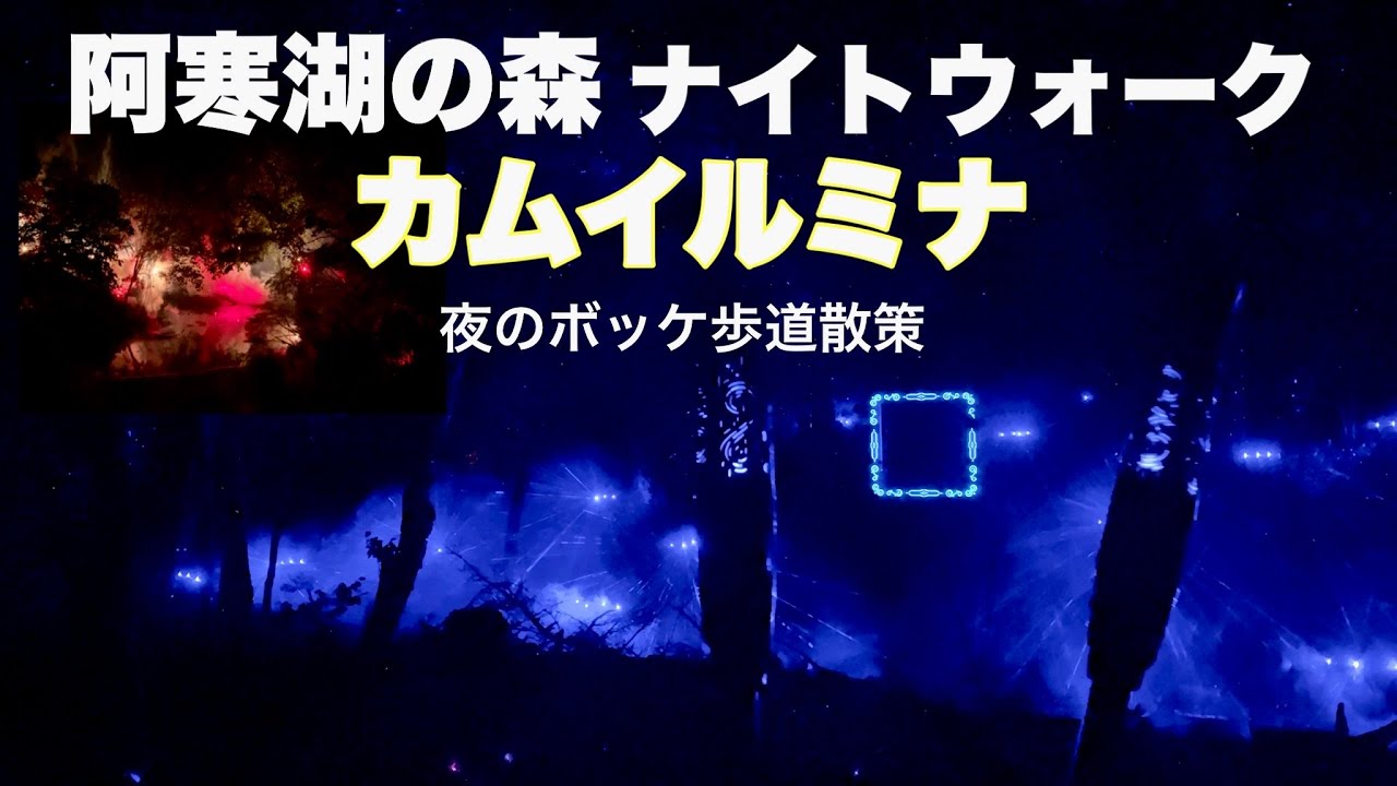阿寒湖の森ナイトウォーク「カムイルミナ」～光と音の神秘的な冒険～