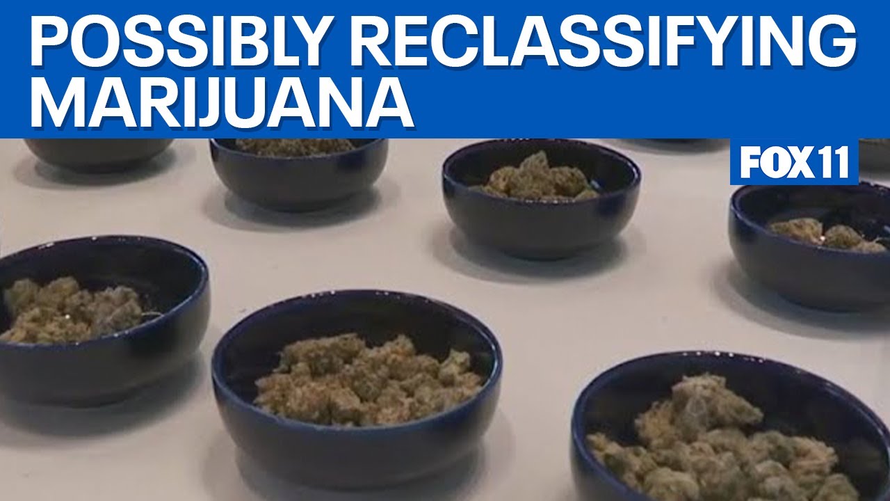 Could marijuana be reclassifed?  | FOX 11 LA