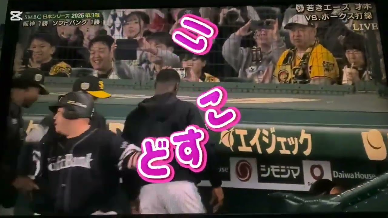 日本シリーズハイライトシーン‼️どうぞご覧下さい。