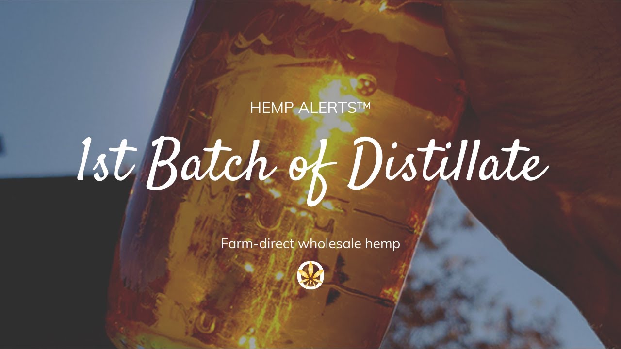 1st Batch Distillate