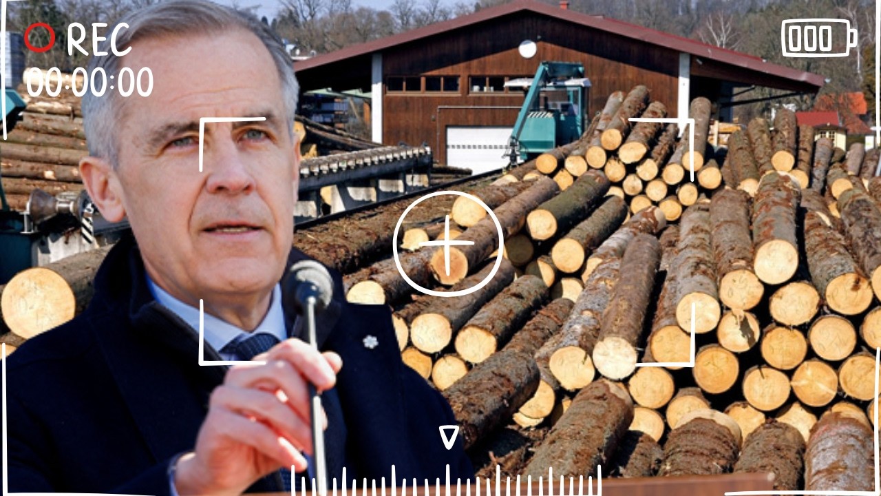 JUST IN: Canada REJECTS New U.S. Lumber Tariffs — U.S. Housing Faces Historic Crisis!