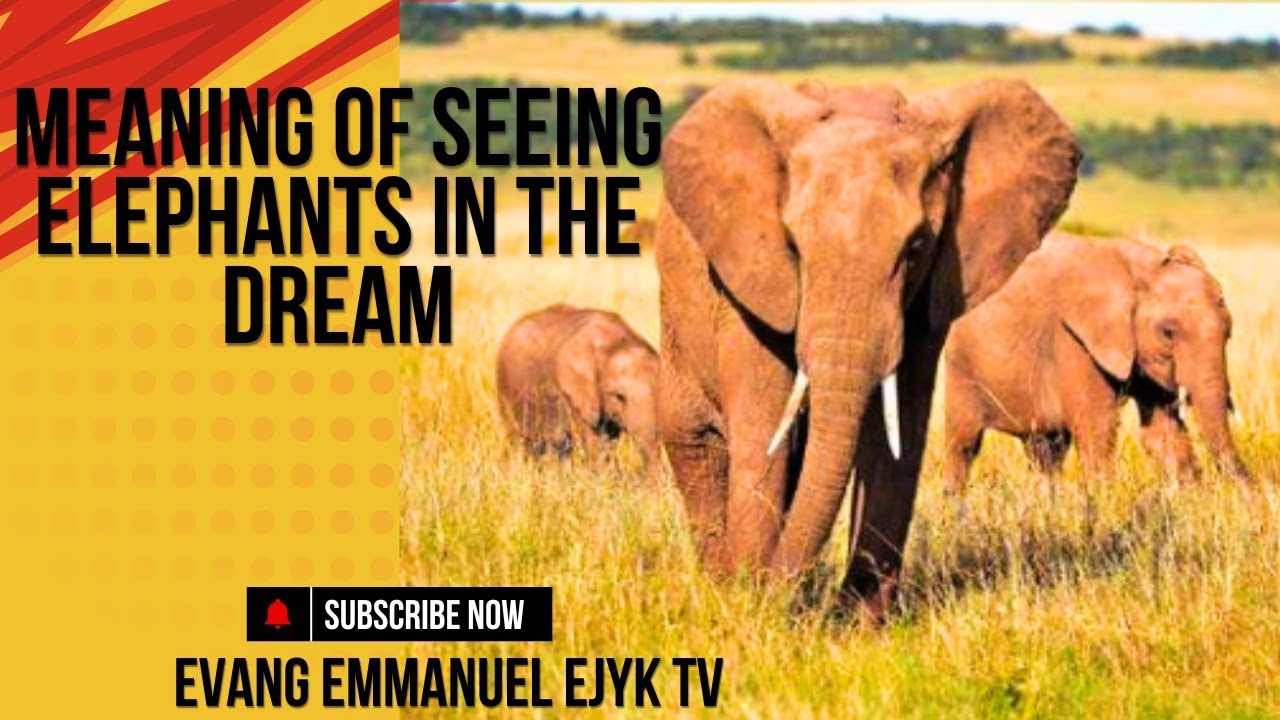 MEANING OF SEEING AN ELEPHANT IN THE DREAM. AND ALSO RIDING AN ELEPHANT IN THE DREAM.