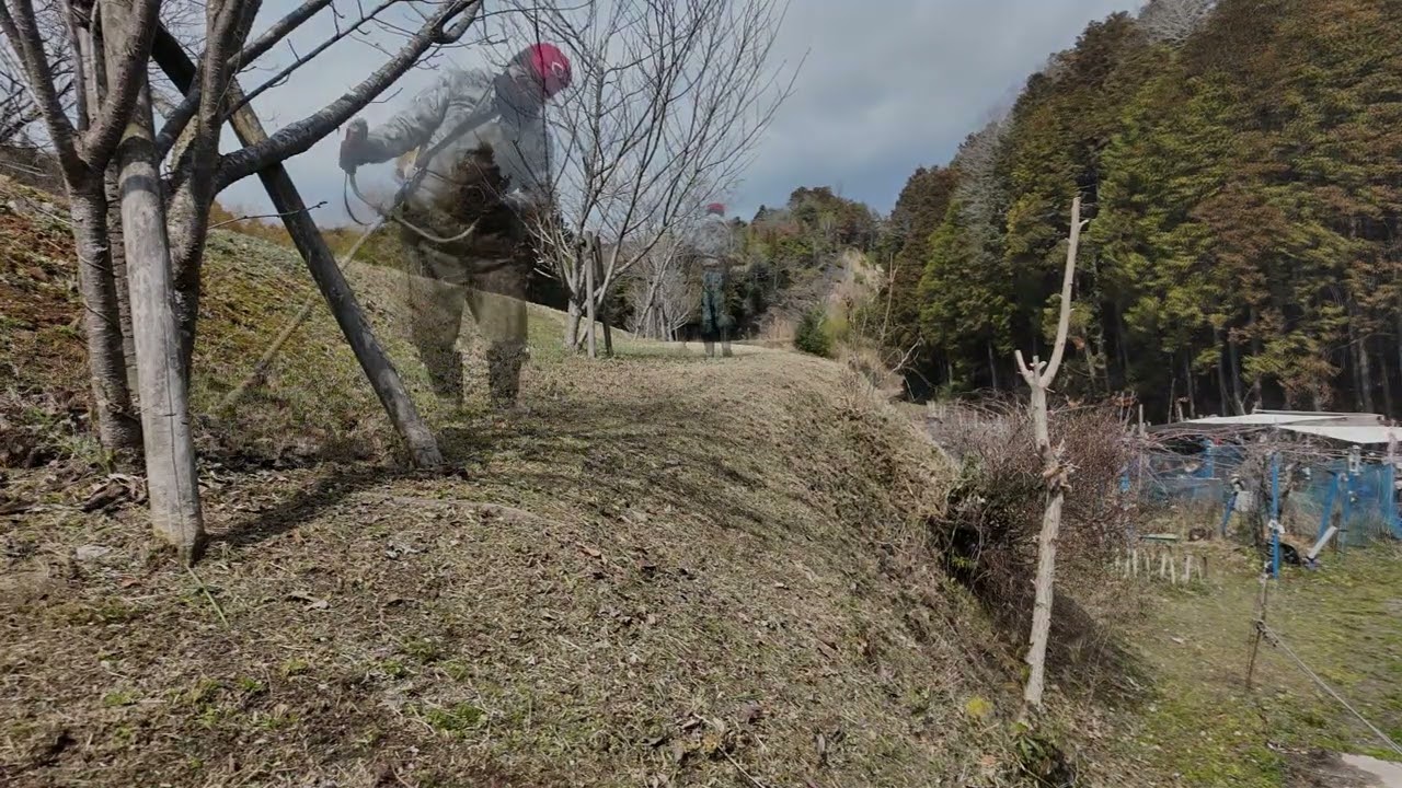 4段目：側道、ジズライザープロエア、1本＋3本