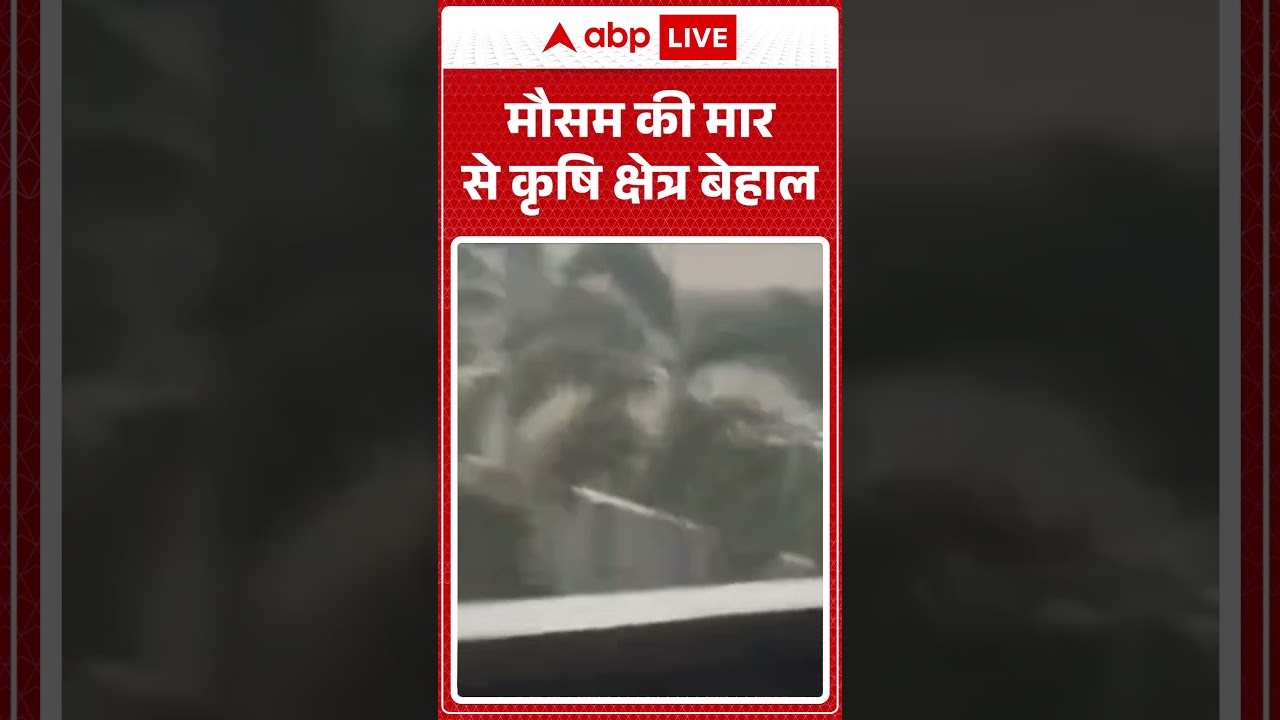 Weather Viral News : मौसम की मार से कृषि क्षेत्र बेहाल | #ytshorts #weather #weathernews #viralnews