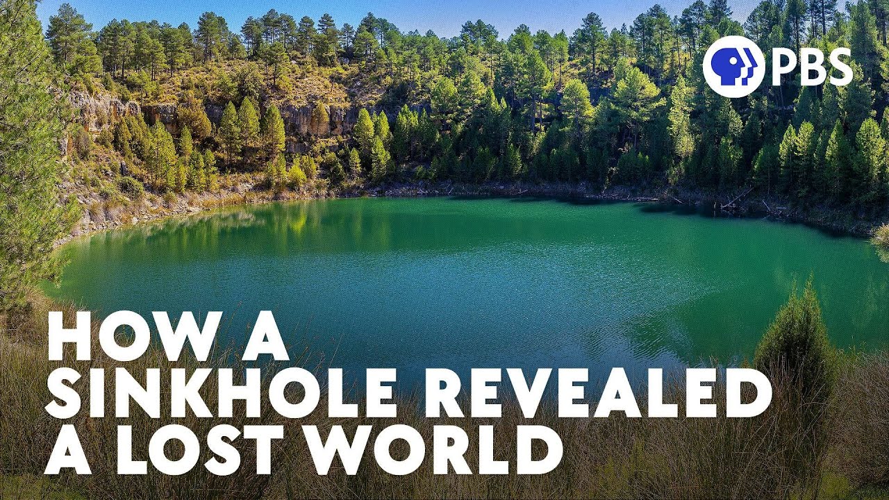 How a Sinkhole Revealed a Lost World