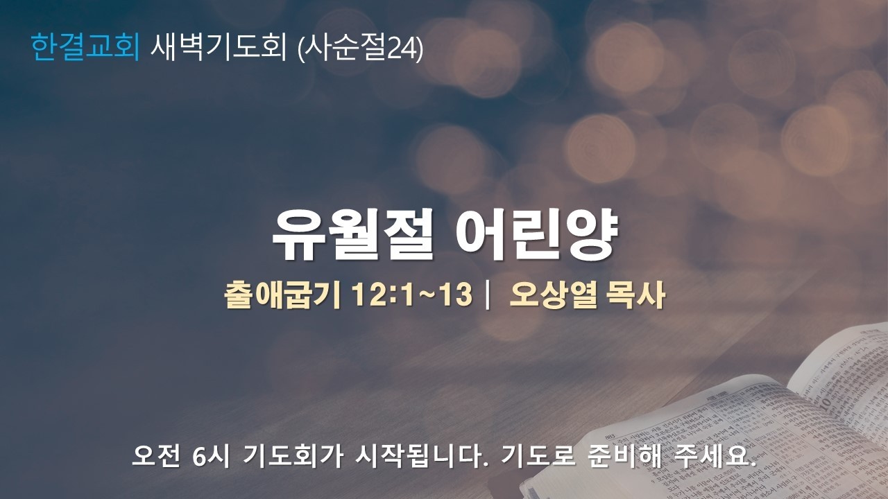 [한결교회 새벽기도회] 2026-03-17(화) | 출애굽기 12:1~13 |유월절 어린양 | 오상열 목사