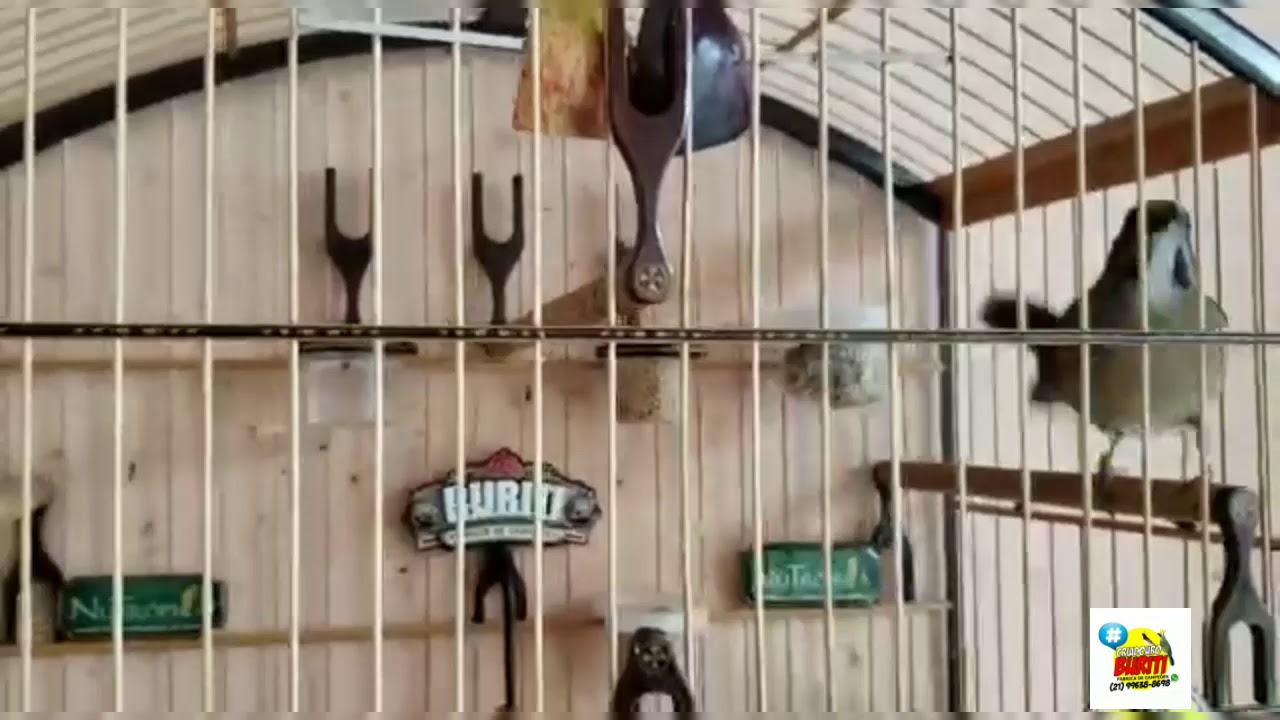 Família consagrada Hórus do Buriti!