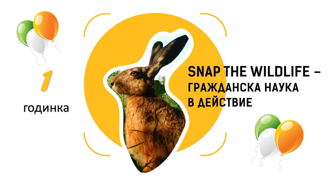 Балканска сбирка-1: Snap the wildlife