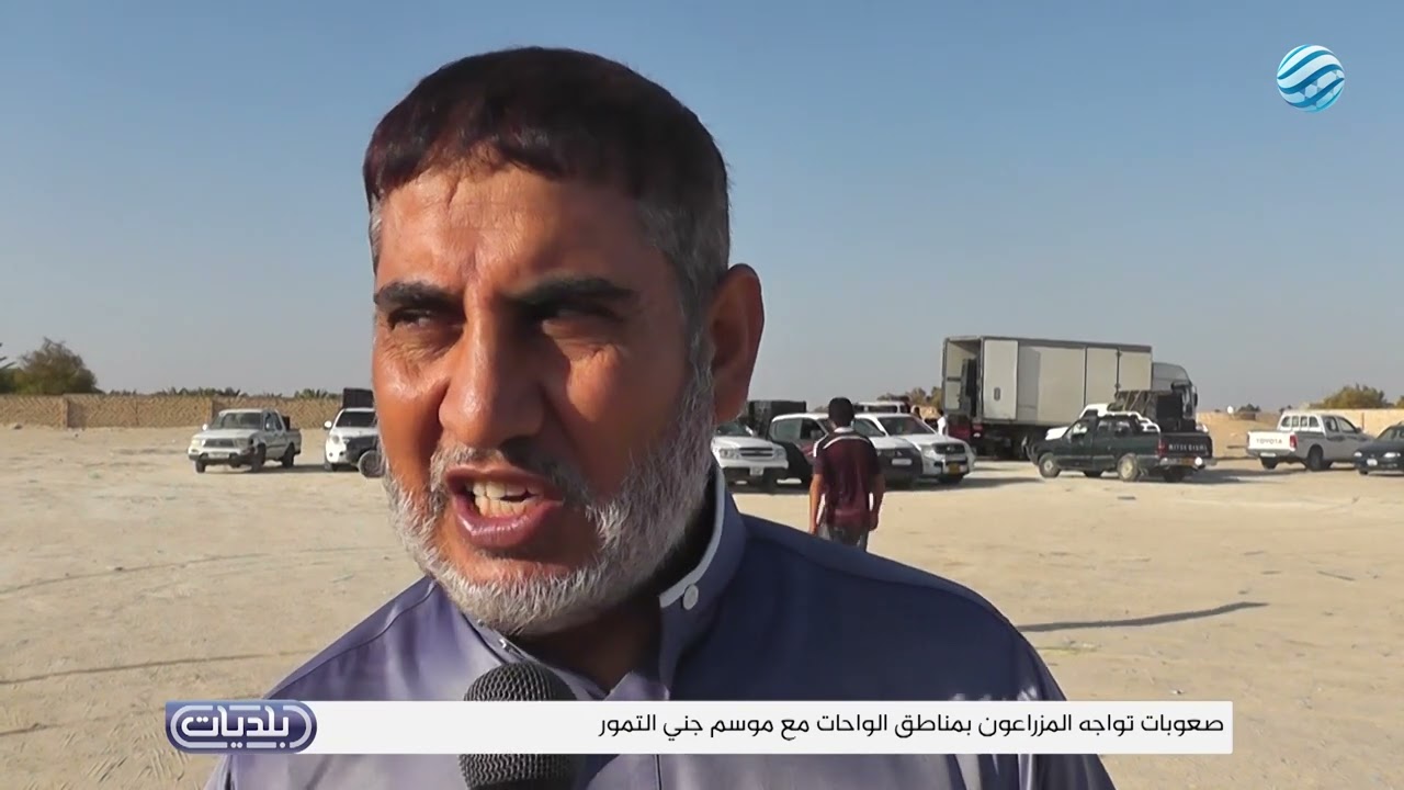 بلديات | صعوبات تواجه المزارعون بمناطق الواحات مع موسم جني التمور