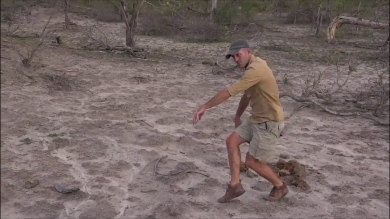 Safari Live : Byron and James do their best Nyala Bull Dance ( Funny )  Oct 29, 2016