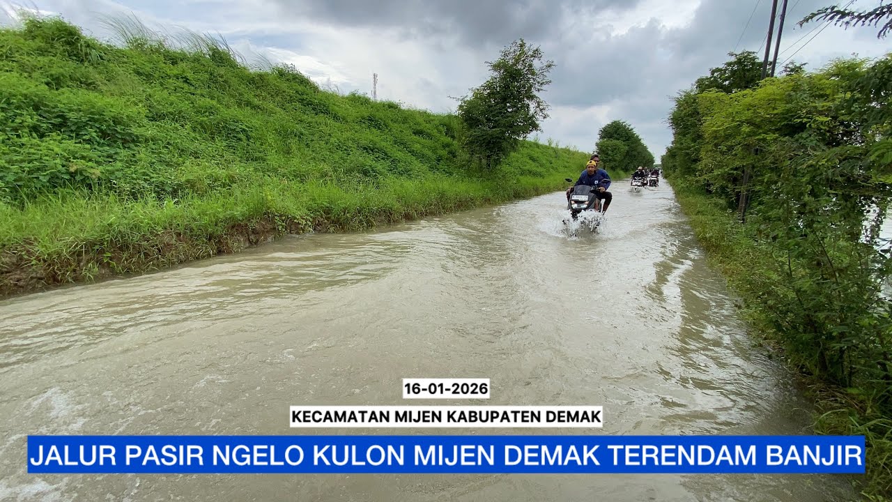 JALUR DESA PASIR DESA NGELO KULON KECAMATAN MIJEN KABUPATEN DEMAK TERENDAM BANJIR