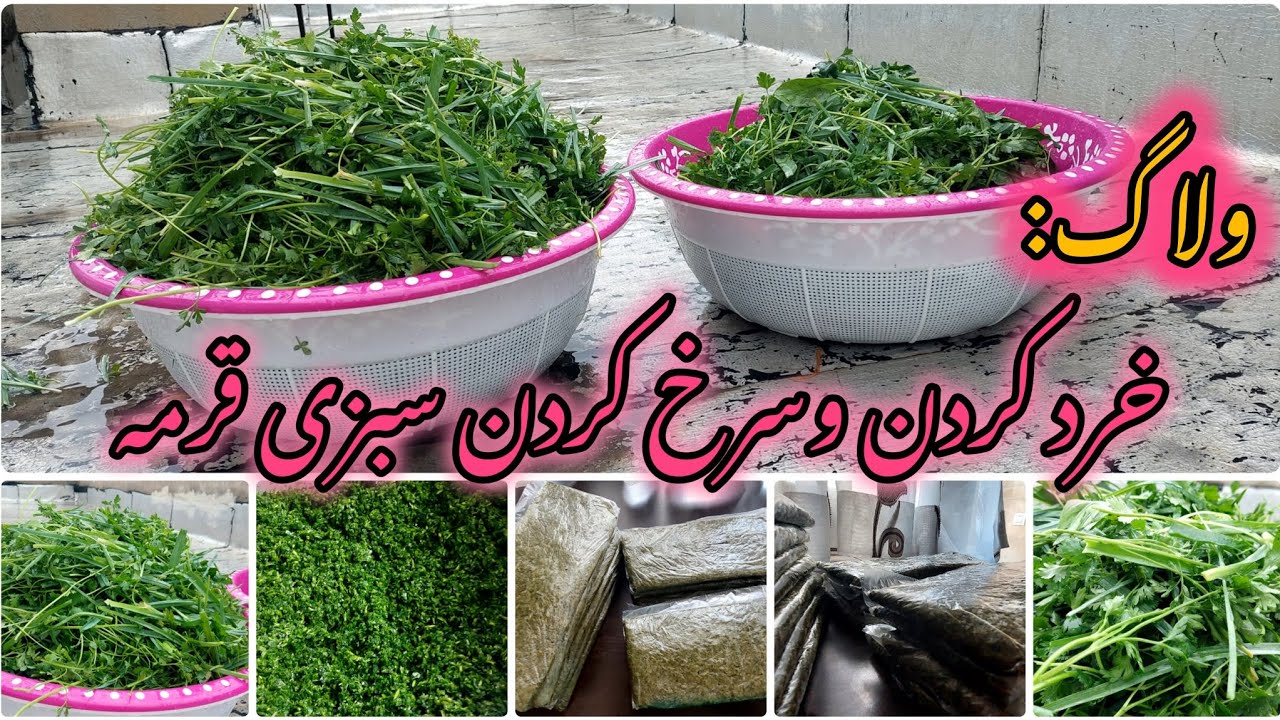 ولاگ:پاک کردن و شستن سبزی قرمه در بالاپشت بام در یک روز پاییزی بارانی🥬🥬🥬💖💖💖💖❤️❤️❤️🙏🙏