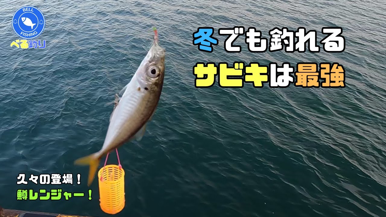 【サビキ】釣果の厳しい冬でも釣れる！サビキの底力！