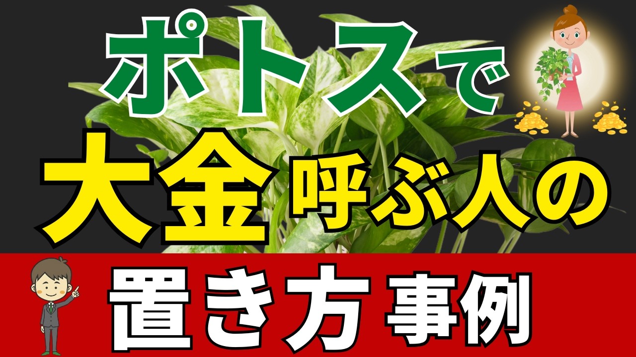 ポトスで欲しい運気を手に入れる置き場所はココ【風水アドバイザーが解説】