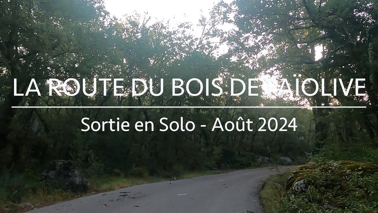 La route du Bois de Païolive (Ardèche - France)