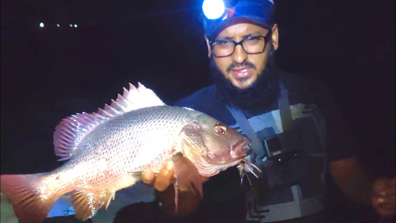 Amazing fishing from malpe seawalk  with Ramu sir #Penn || #Abu Garcia || #Halco || #Berkley dealer