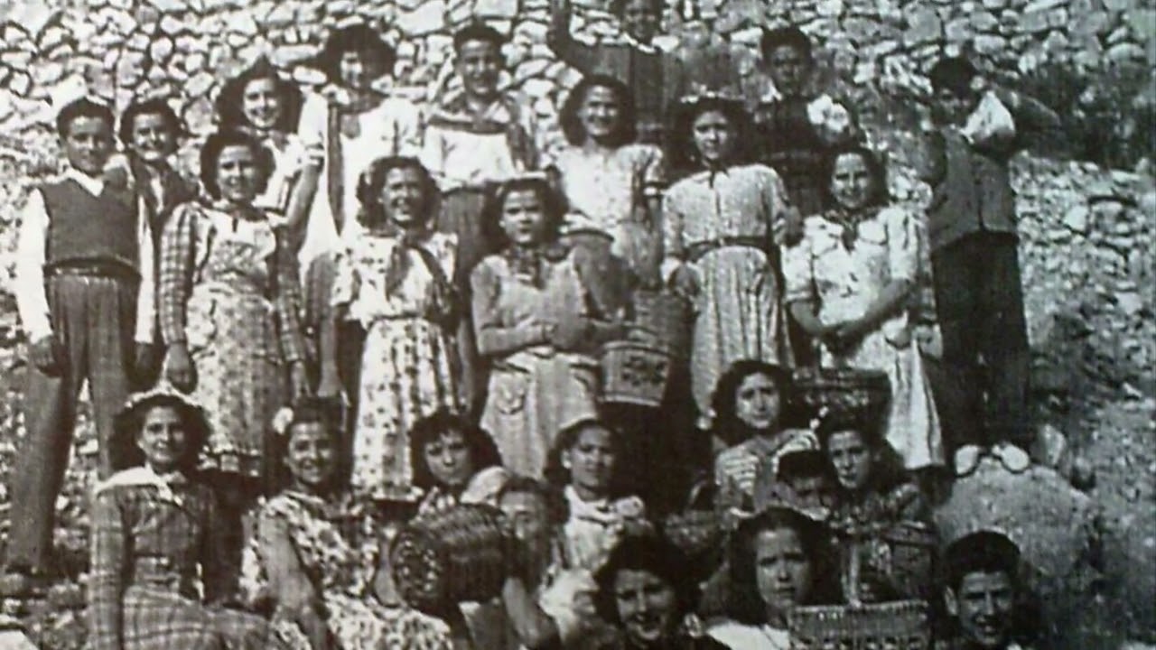 TFG, CAMINA, VEU I ESCOLTA, La memoria d’ un poble, Petrer.