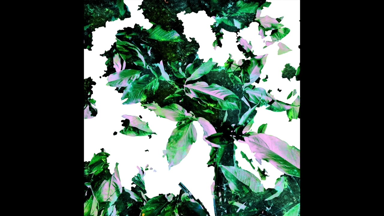 Alien House - Canopy