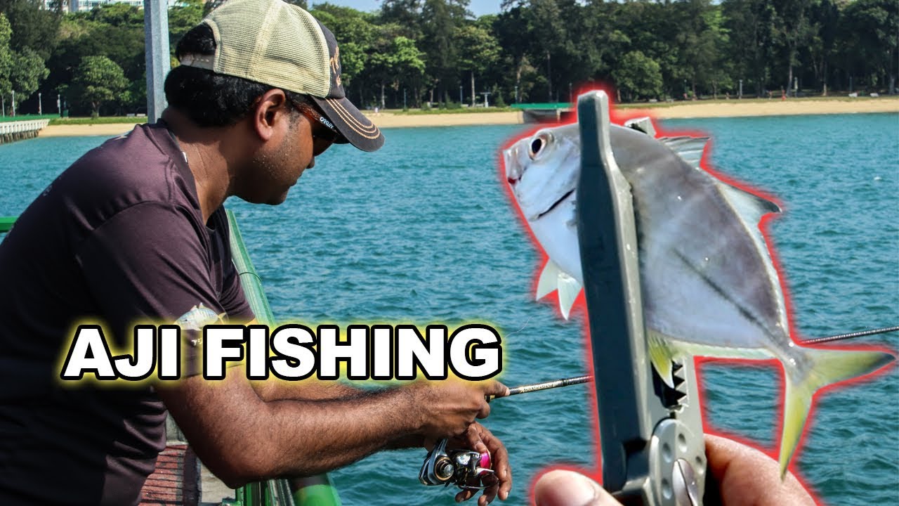 Aji Fishing At Bedok Jetty