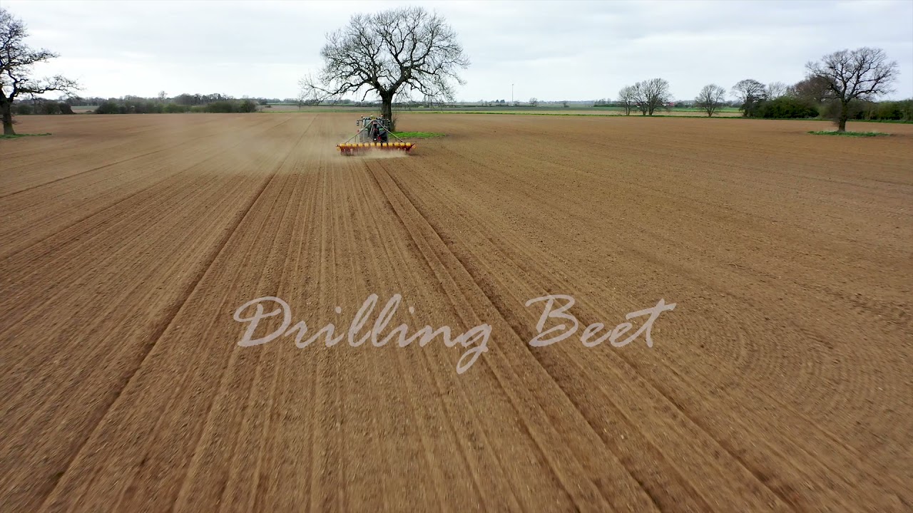 Drilling Sugar Beet