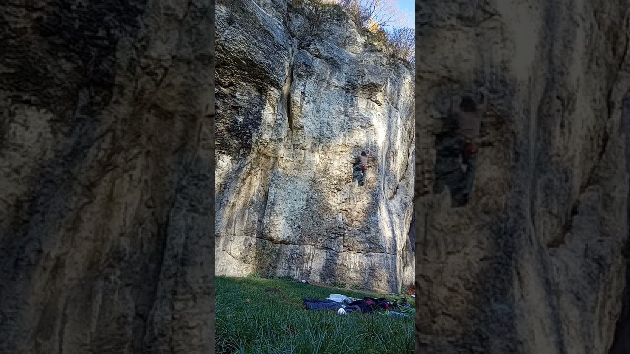 Lewy Meningitis VI.3 Na żywca