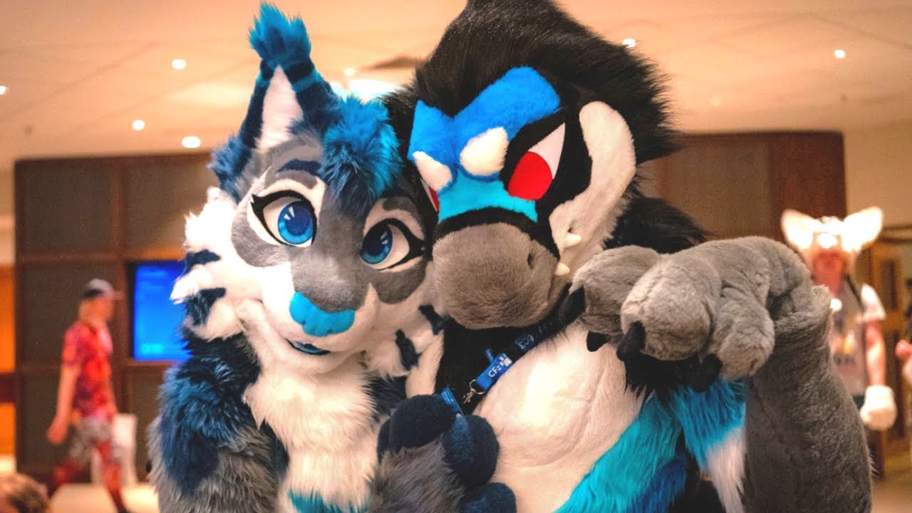 Confuzzled 2023