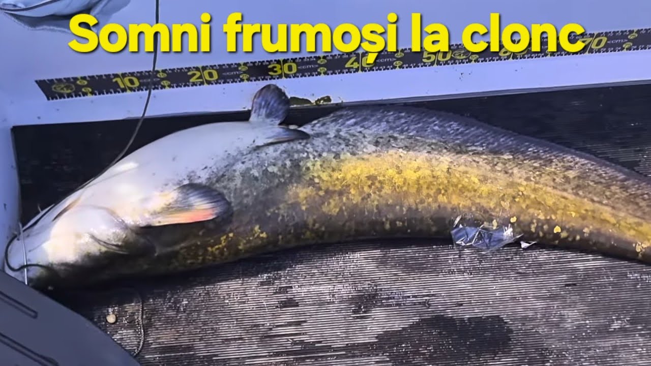 🎣 Pescuit la clonc – a doua partidă, vreme extremă și capturi surprinzătoare!
