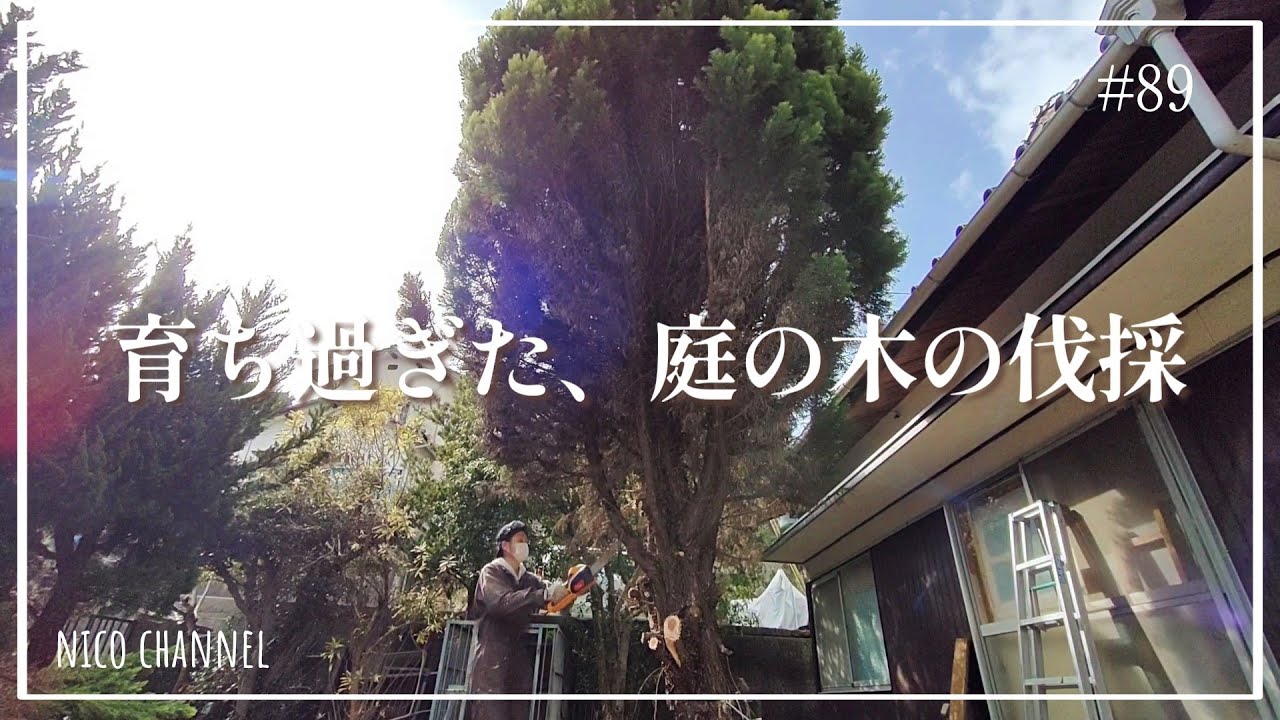 【お庭DIY】#89 庭の少し邪魔な所に生えていた大木を、自分で切りました｜チェンソー｜伐採