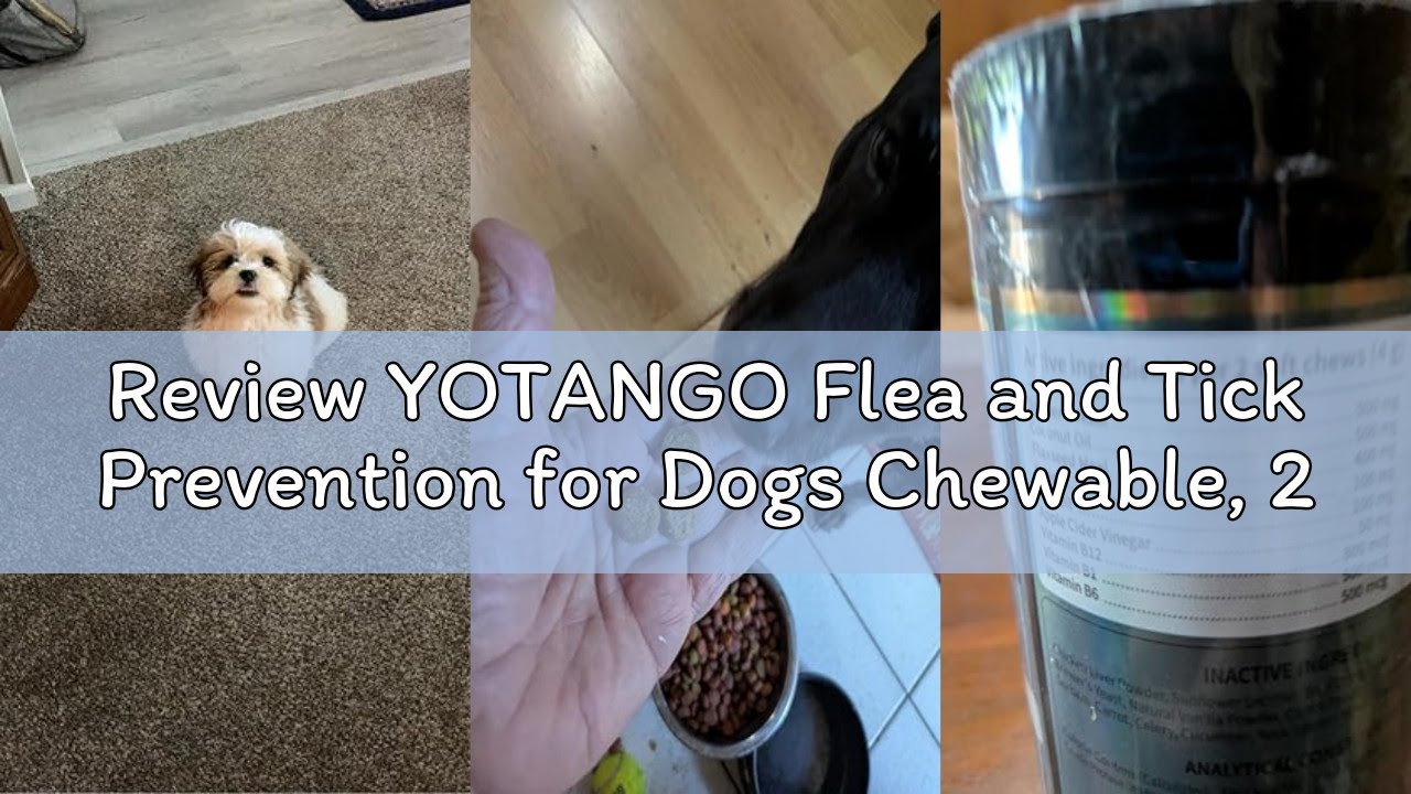 Review YOTANGO Flea and Tick Prevention for Dogs Chewable, 200 Soft Treats Natural Dog Flea and Tick