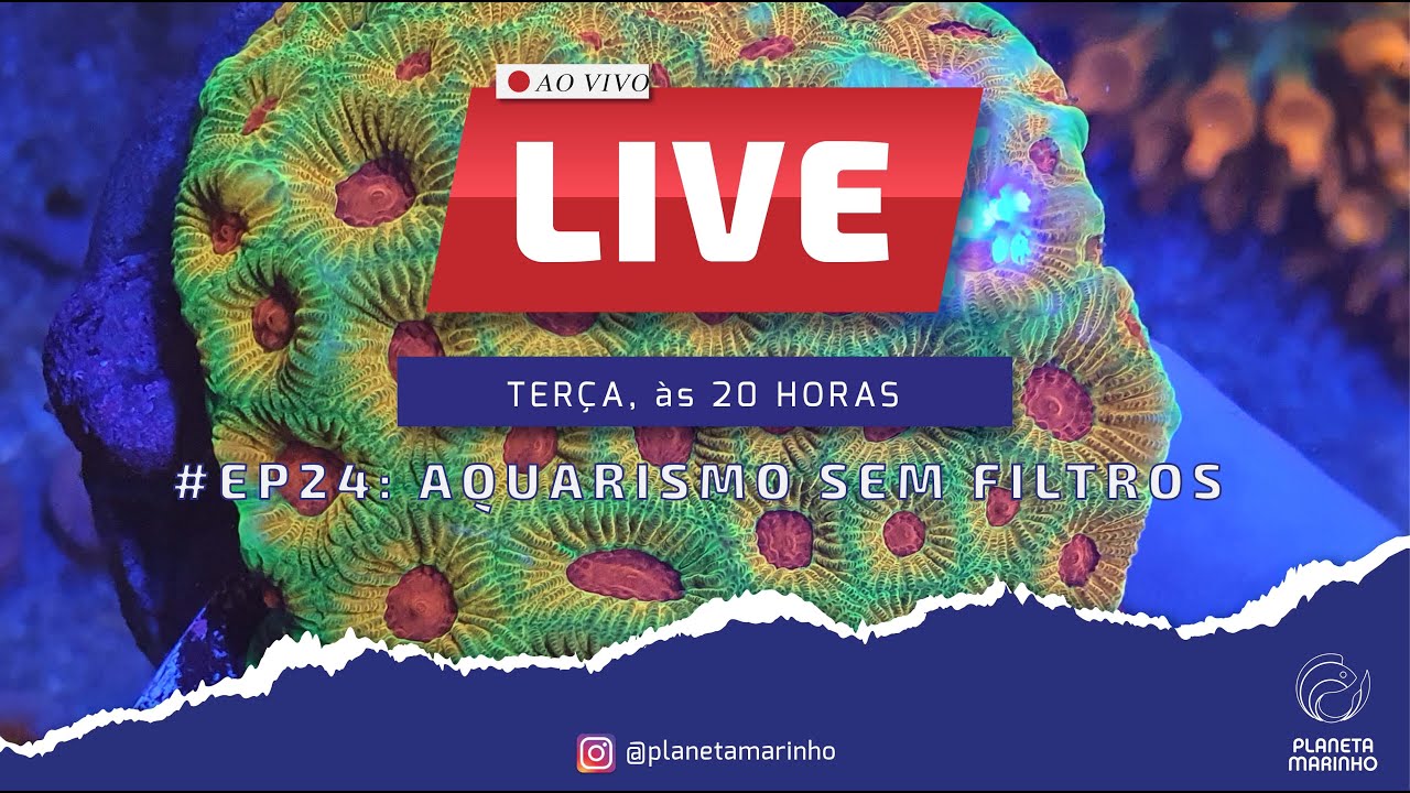LIVE | #EP24 - AQUARISMO SEM FILTROS